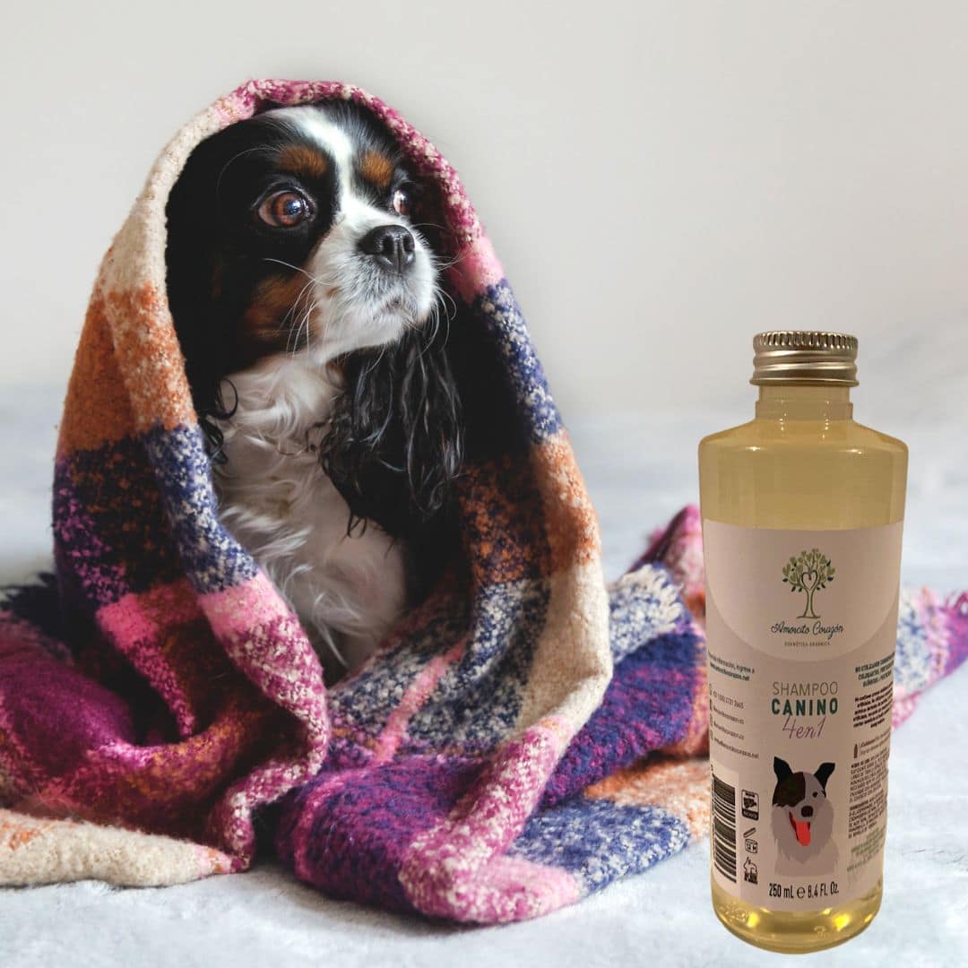 AmorcitoCorazon shampo4en1