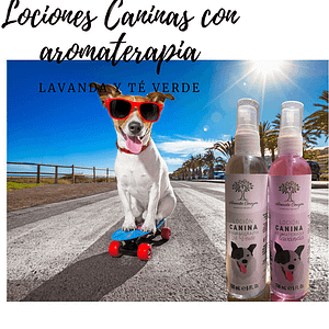 AmorcitoCorazon Locion Canina