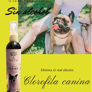 Clorofila Amorcito Corazon