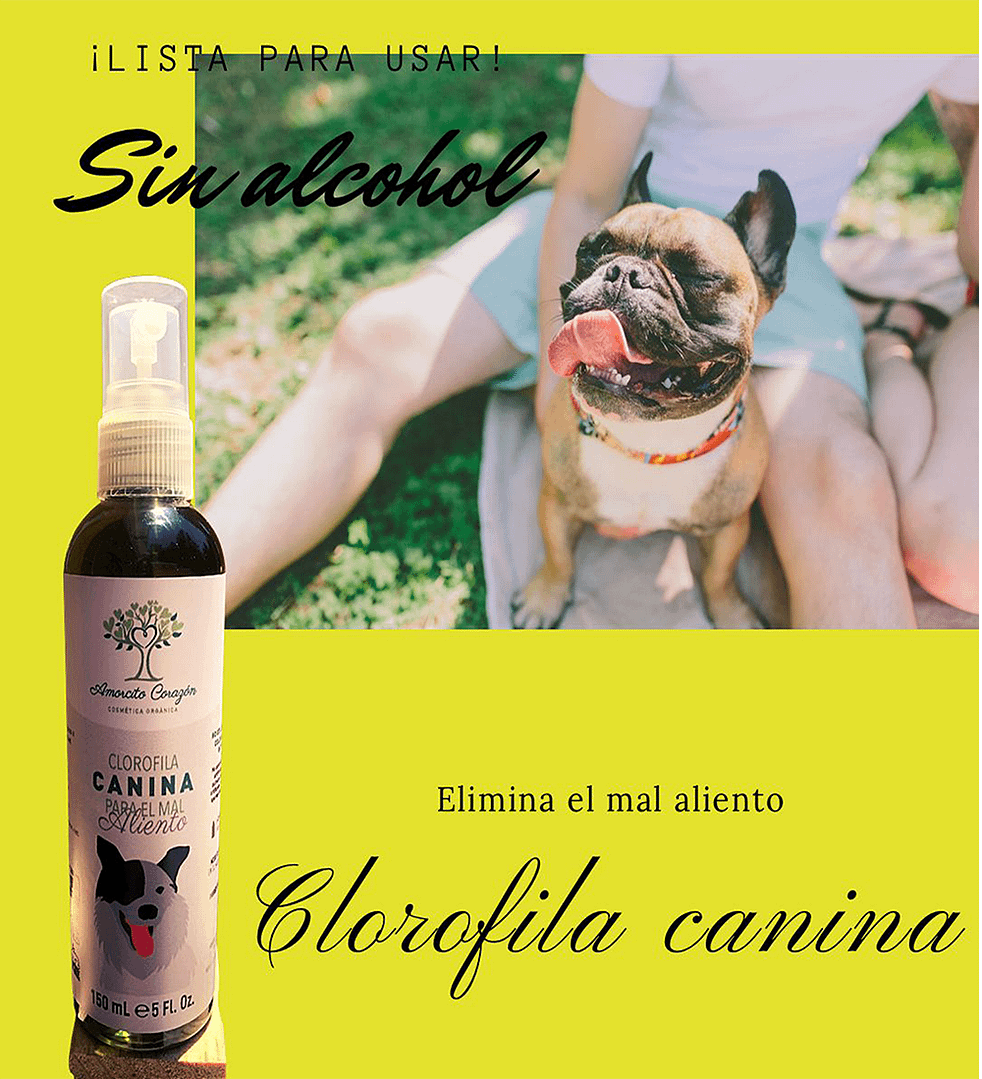 AmorcitoCorazon Clorofila