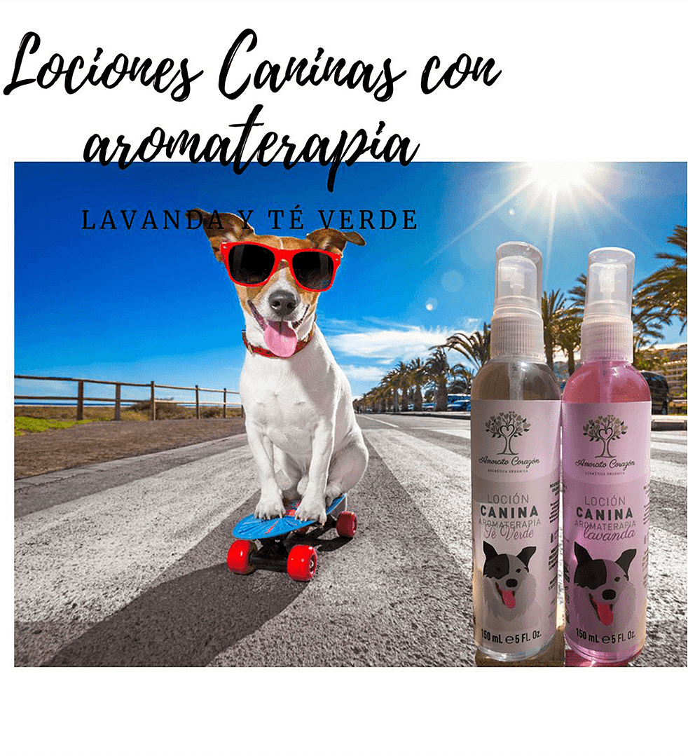 AmorcitoCorazon Locion Canina