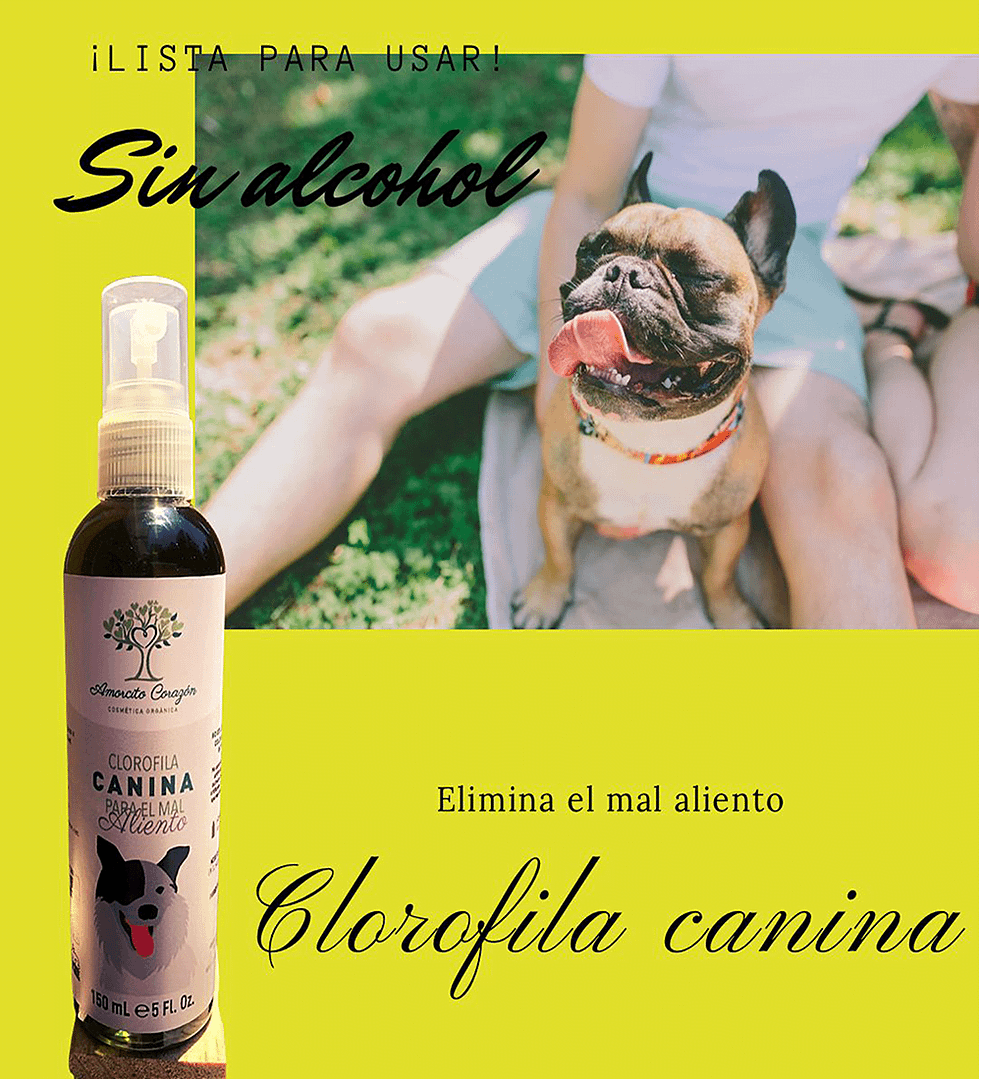 Clorofila Amorcito Corazon